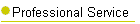 Professional Service