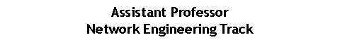 Text Box: Assistant ProfessorNetwork Engineering Track